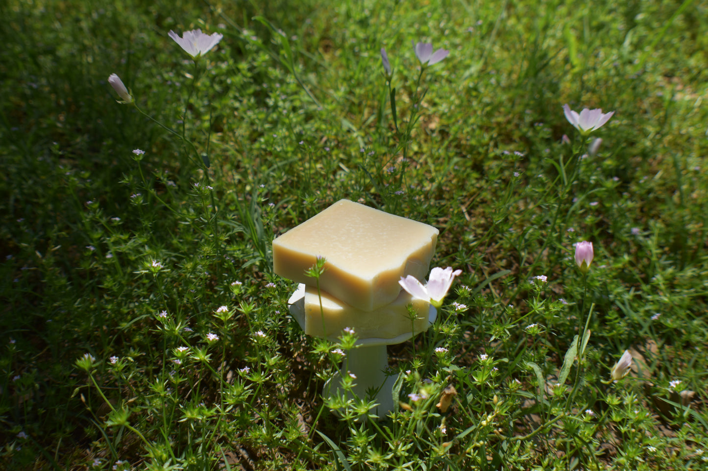 Goat Milk Soap: Fragrance Free Gentle Touch