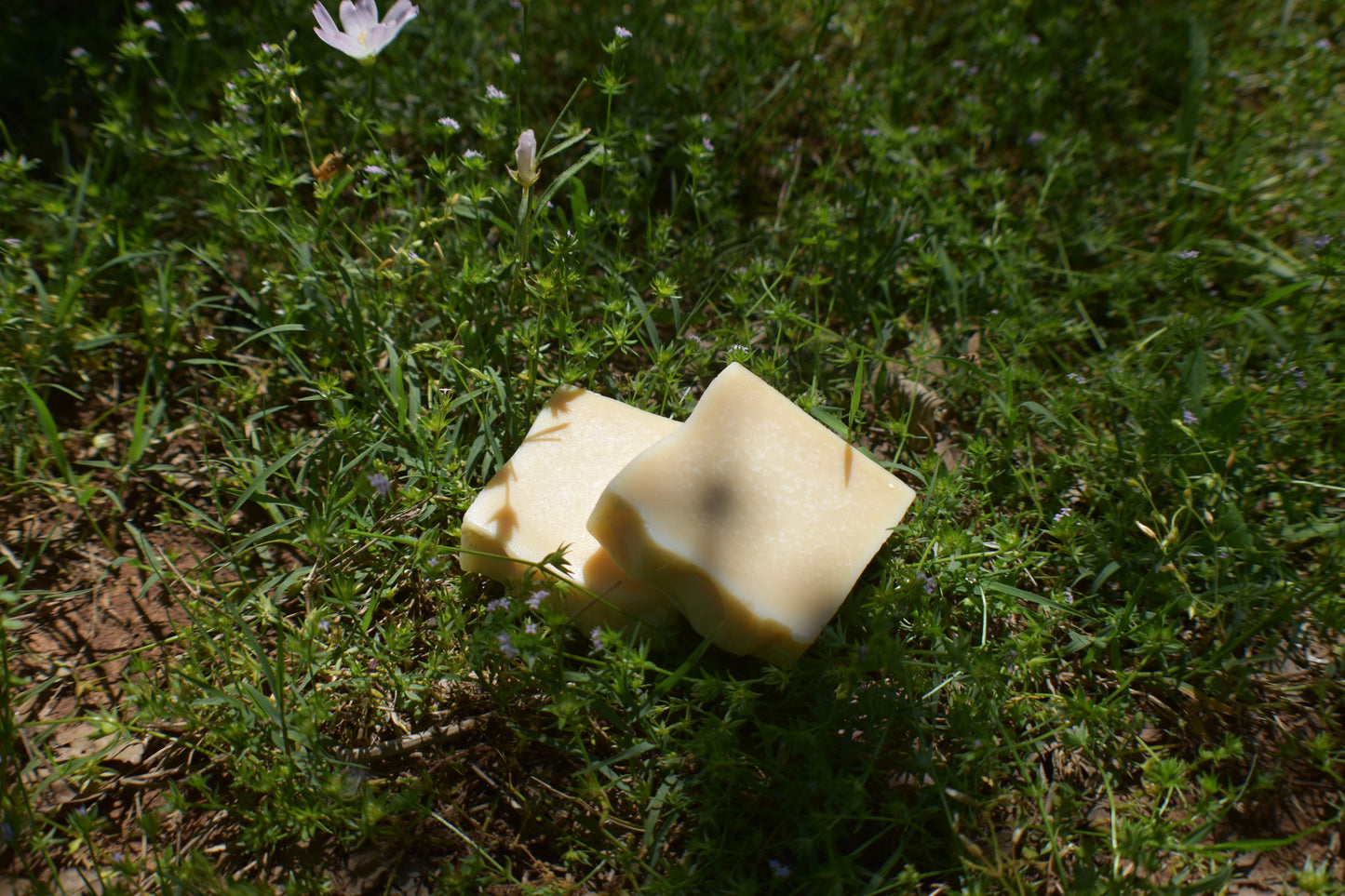 Goat Milk Soap: Fragrance Free Gentle Touch