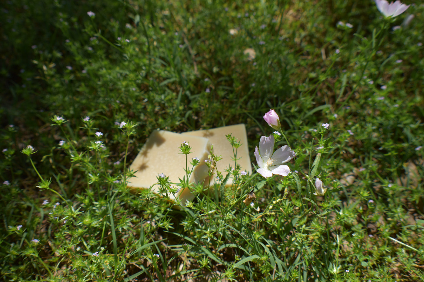 Goat Milk Soap: Fragrance Free Gentle Touch